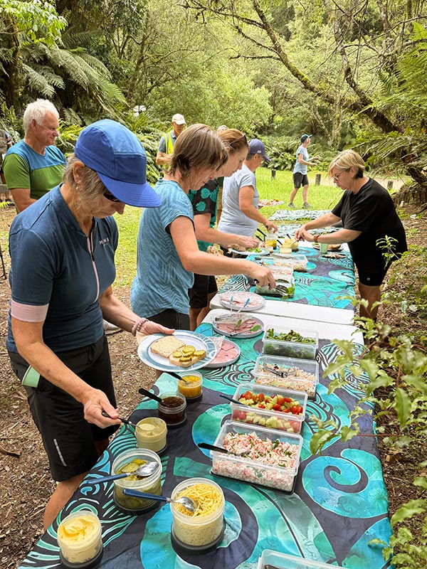 picnic lunch, whirinaki